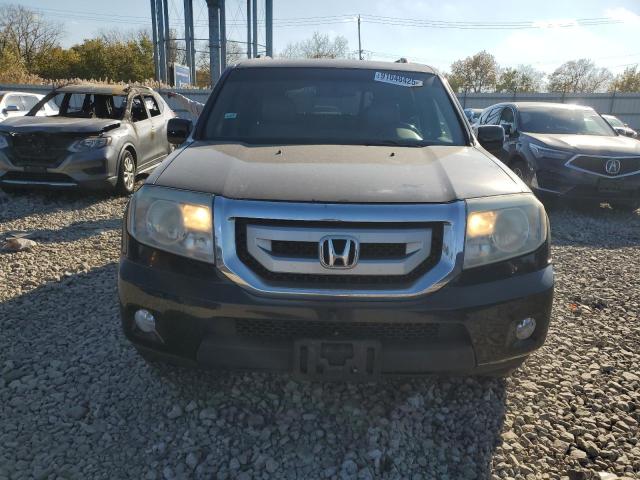 5FNYF4H57AB029524 - 2010 HONDA PILOT EXL BLACK photo 5