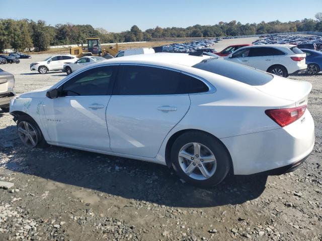 1G1ZB5ST8KF226902 - 2019 CHEVROLET MALIBU LS WHITE photo 2