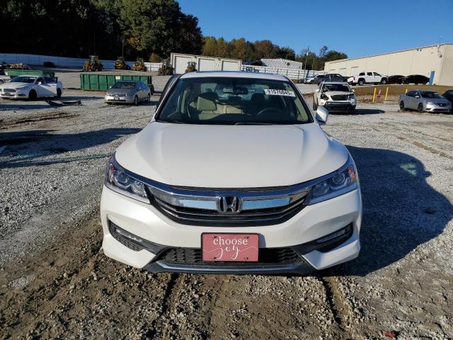 1HGCR2F84GA126783 - 2016 HONDA ACCORD EXL 白色 照片 5