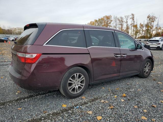 5FNRL5H66DB013640 - 2013 HONDA ODYSSEY EXL Շագանակագույն լուսանկար 3