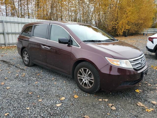 5FNRL5H66DB013640 - 2013 HONDA ODYSSEY EXL Շագանակագույն լուսանկար 4