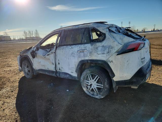 2T3RWRFV3PW159257 - 2023 TOYOTA RAV4 XLE WHITE photo 2