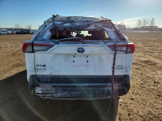 2T3RWRFV3PW159257 - 2023 TOYOTA RAV4 XLE WHITE photo 6