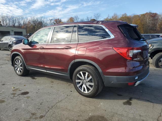 5FNYF6H30KB097563 - 2019 HONDA PILOT EX برغندي صورة 2