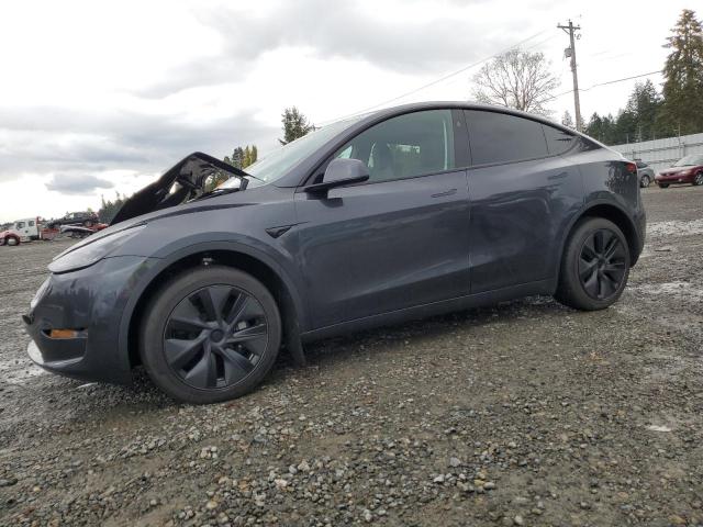 2025 TESLA MODEL Y, 