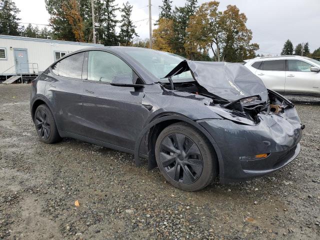 7SAYGDEE0SF304026 - 2025 TESLA MODEL Y Grau Foto 4