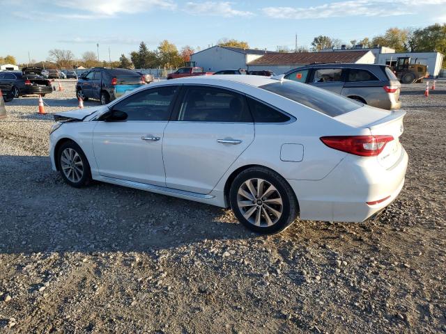 5NPE34AF4HH590807 - 2017 HYUNDAI SONATA SPORT WHITE photo 2