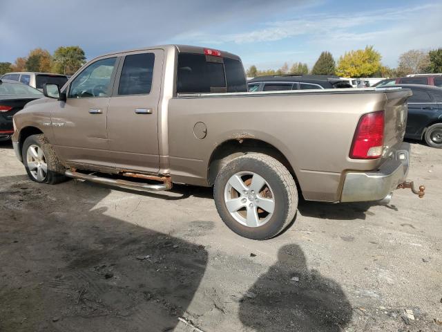 1D3HV18T99S806386 - 2009 DODGE RAM 1500 TAN photo 2