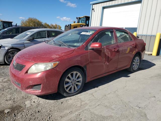 2009 TOYOTA COROLLA BASE, 
