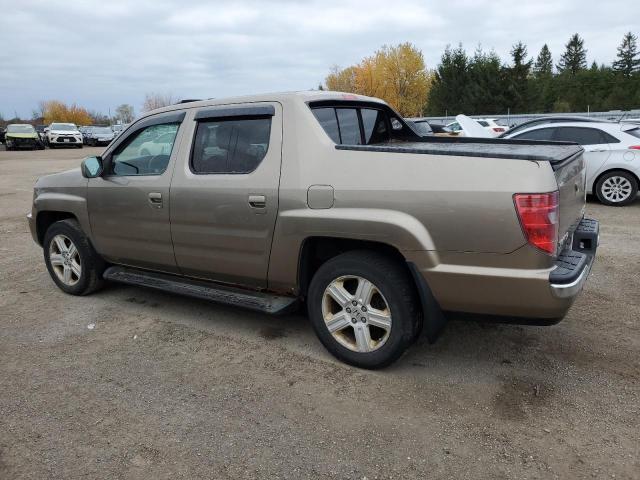 5FPYK1F51AB501866 - 2010 HONDA RIDGELINE RTL Złoty zdjęcie 2