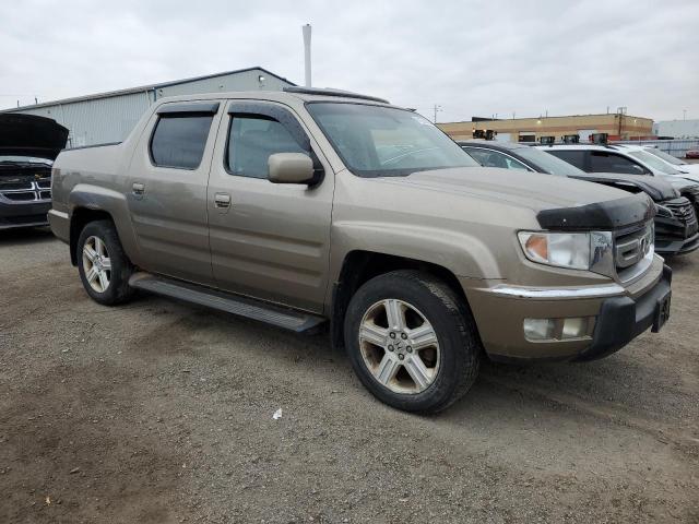 5FPYK1F51AB501866 - 2010 HONDA RIDGELINE RTL Złoty zdjęcie 4