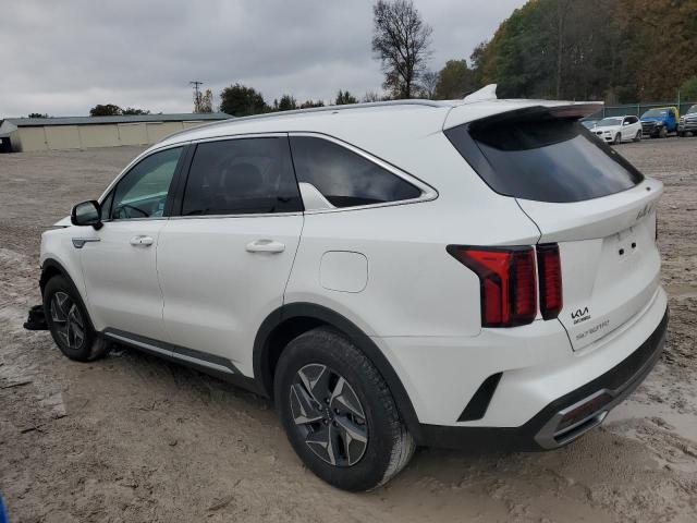 KNDRH4LG8P5221682 - 2023 KIA SORENTO EX WHITE photo 2