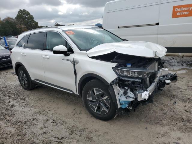 KNDRH4LG8P5221682 - 2023 KIA SORENTO EX WHITE photo 4