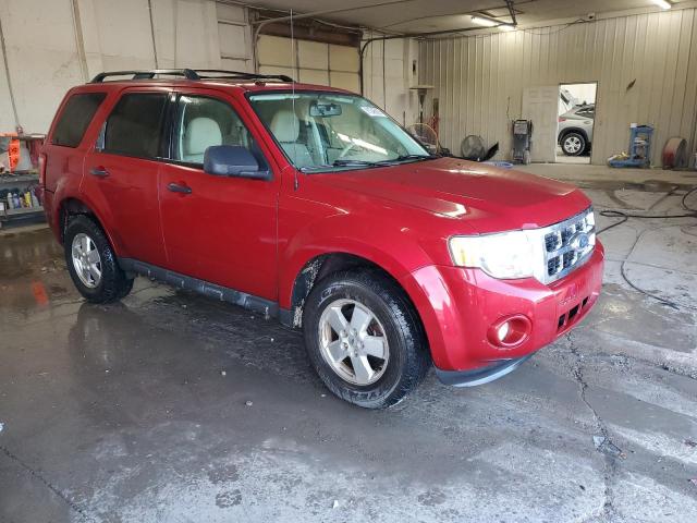 1FMCU0D75BKA56611 - 2011 FORD ESCAPE XLT წითელი ფოტო 4