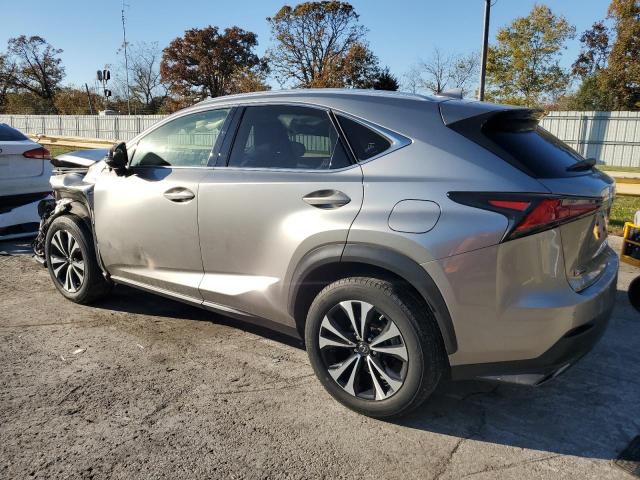 JTJSARDZ7M2248160 - 2021 LEXUS NX 300 BASE Plata foto 2