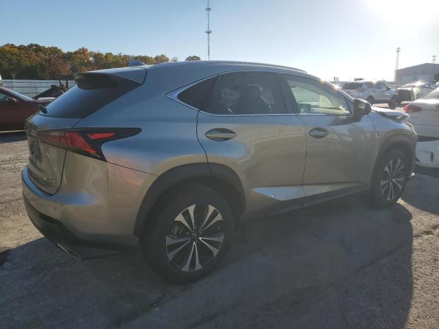 JTJSARDZ7M2248160 - 2021 LEXUS NX 300 BASE Plata foto 3