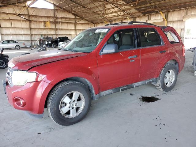 2010 FORD ESCAPE XLT, 