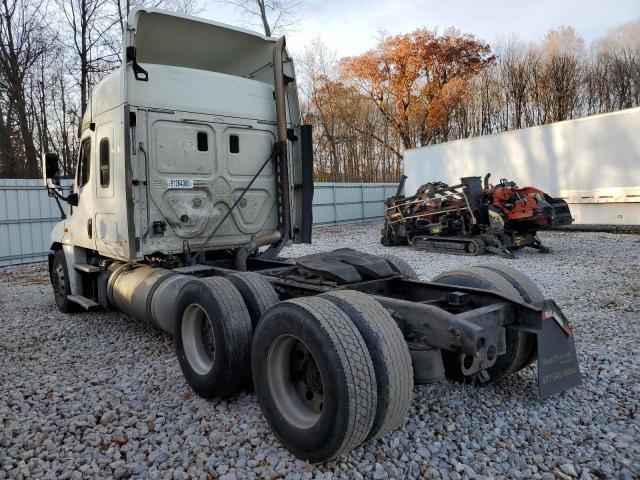 1FUJGLDR1DLBY3676 - 2013 FREIGHTLINER CASCADIA 白色 照片 3