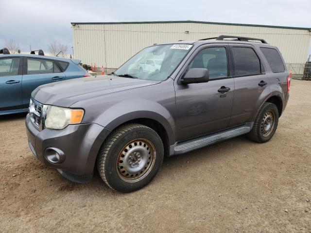 2010 FORD ESCAPE XLT, 