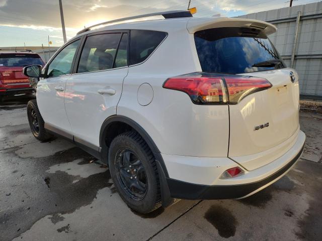 2T3RFREV3HW593780 - 2017 TOYOTA RAV4 XLE WHITE photo 2