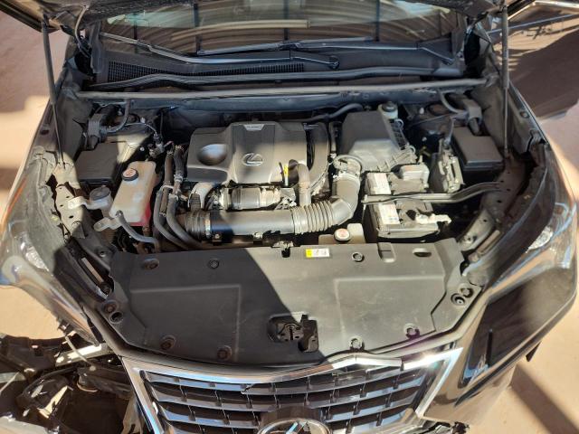 JTJGARBZ9M2182347 - 2021 LEXUS NX 300 BASE BLACK photo 12