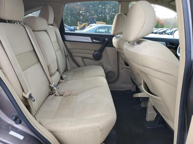 5J6RE4H56BL025609 - 2011 HONDA CR-V EX ნაცრისფერი ფოტო 11