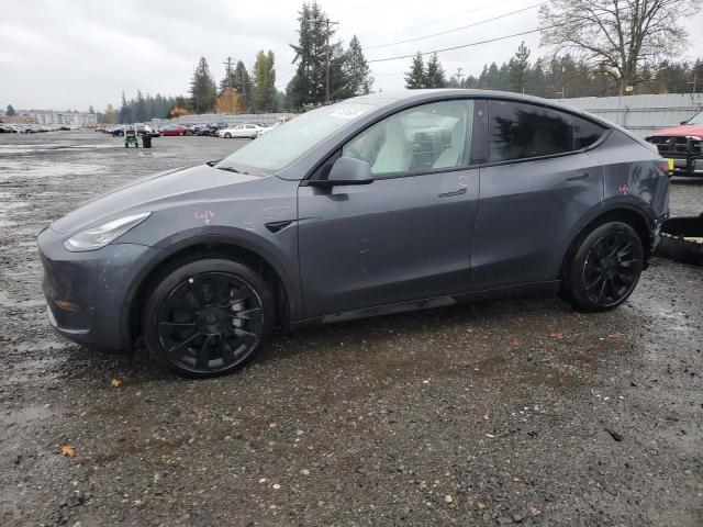 2023 TESLA MODEL Y, 