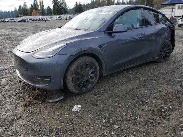 2021 TESLA MODEL Y, 