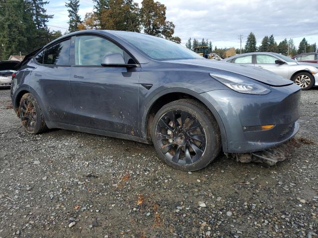 5YJYGAEE2MF239579 - 2021 TESLA MODEL Y GRAY photo 4