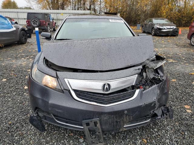 19UUA8F73CA025931 - 2012 ACURA TL გრაფიტი ფოტო 5
