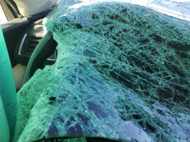 4S4WMARD1K3473011 - 2019 SUBARU ASCENT TOURING Grau Foto 9