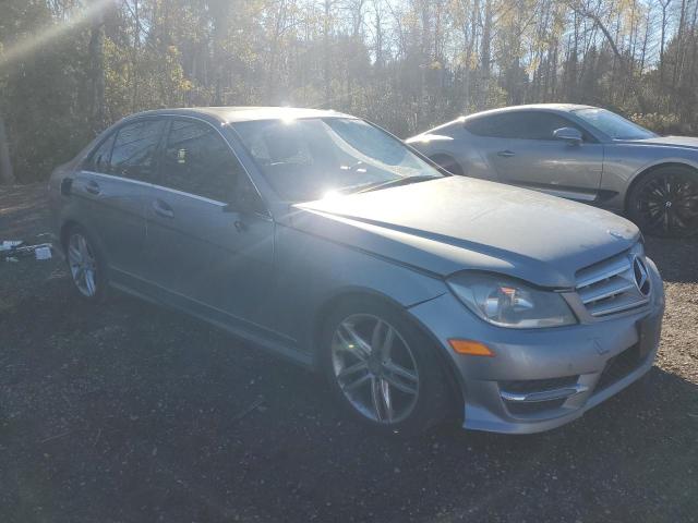 WDDGF8AB0DG120119 - 2013 MERCEDES-BENZ C 300 4MATIC SILVER photo 4
