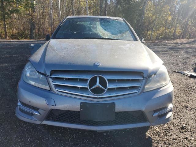 WDDGF8AB0DG120119 - 2013 MERCEDES-BENZ C 300 4MATIC SILVER photo 5