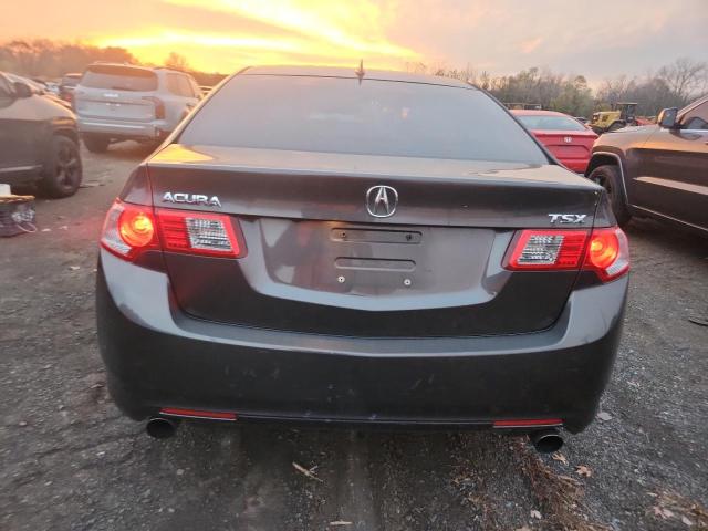 JH4CU2F69AC008654 - 2010 ACURA TSX GRAY photo 6
