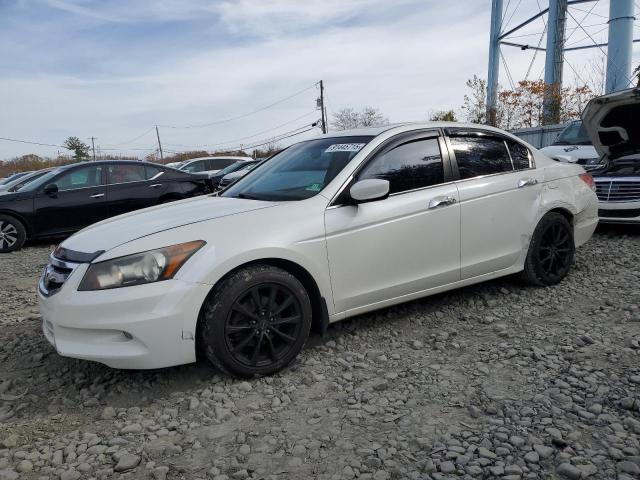 2010 HONDA ACCORD EXL, 