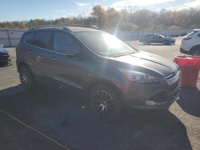 1FMCU9J95DUC75876 - 2013 FORD ESCAPE TITANIUM GRAY photo 4
