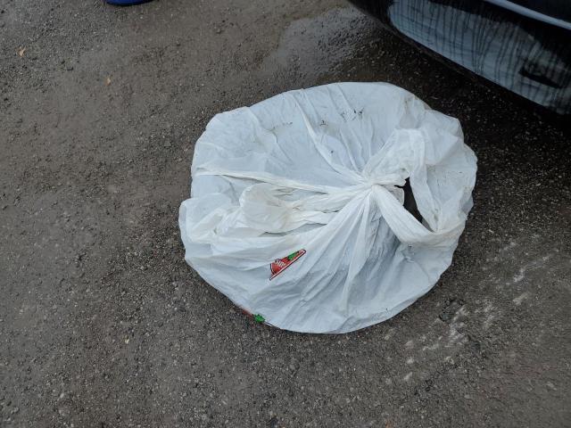 2T1BR32E67C824299 - 2007 TOYOTA COROLLA CE 黑色 照片 12