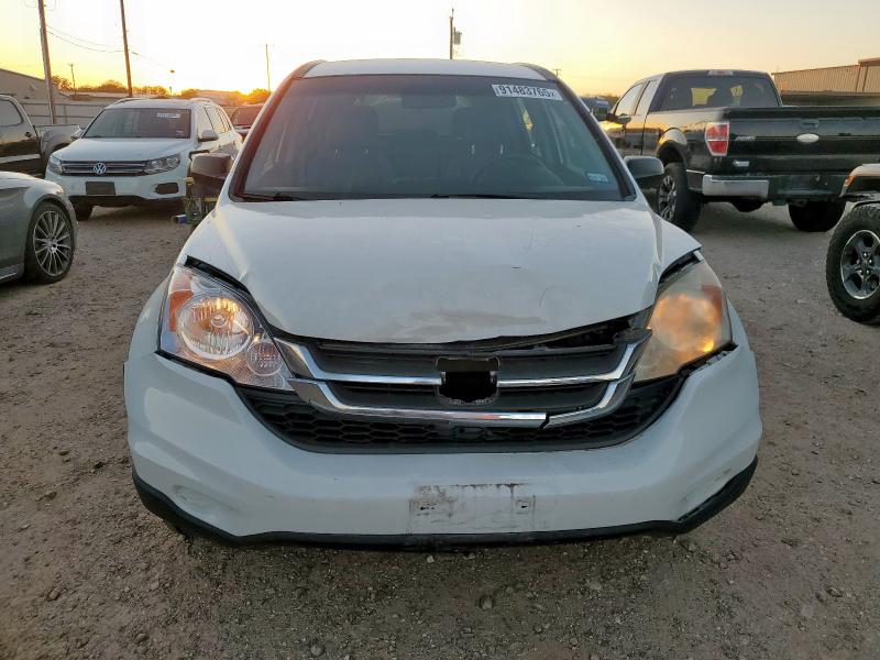 3CZRE3H35BG701621 - 2011 HONDA CR-V LX 白色 照片 5