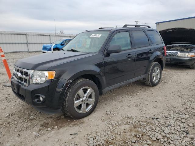 2012 FORD ESCAPE XLT, 