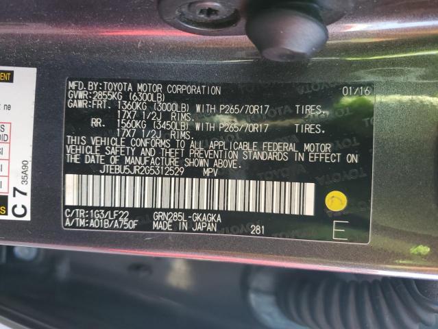 JTEBU5JR2G5312529 - 2016 TOYOTA 4RUNNER SR5/SR5 PREMIUM 绿色 照片 13