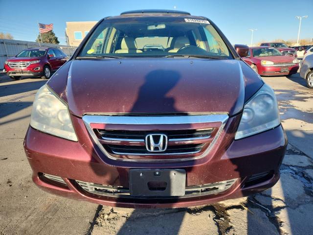 5FNRL38777B090650 - 2007 HONDA ODYSSEY EXL BURGUNDY photo 5