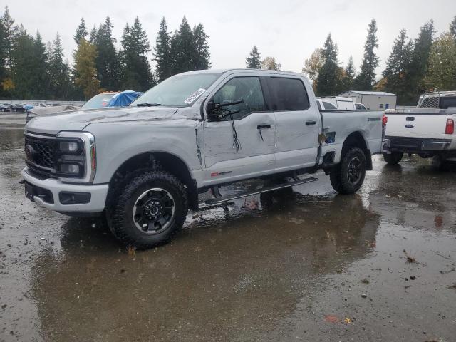 2025 FORD F250 SUPER DUTY, 