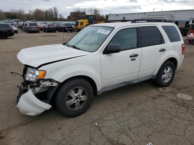 2009 FORD ESCAPE XLT, 