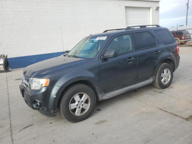 2009 FORD ESCAPE XLT, 