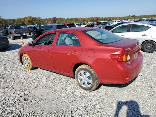 1NXBU4EE5AZ328559 - 2010 TOYOTA COROLLA BASE RED photo 2
