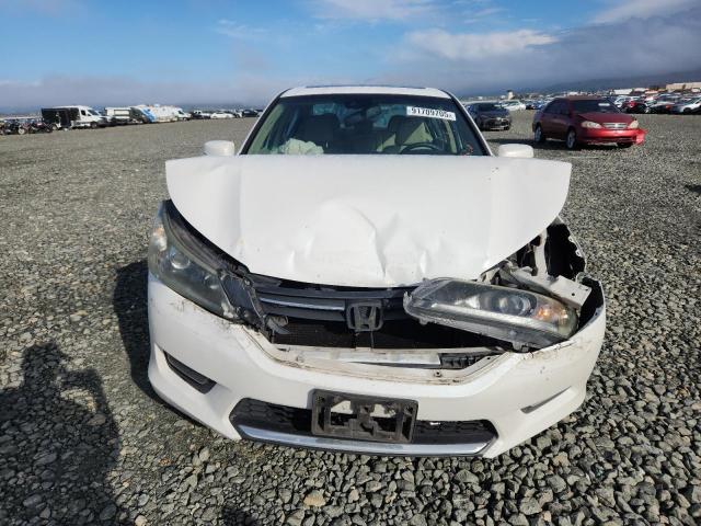 1HGCR2F8XFA106116 - 2015 HONDA ACCORD EXL WHITE photo 5