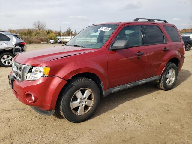 2010 FORD ESCAPE XLT, 
