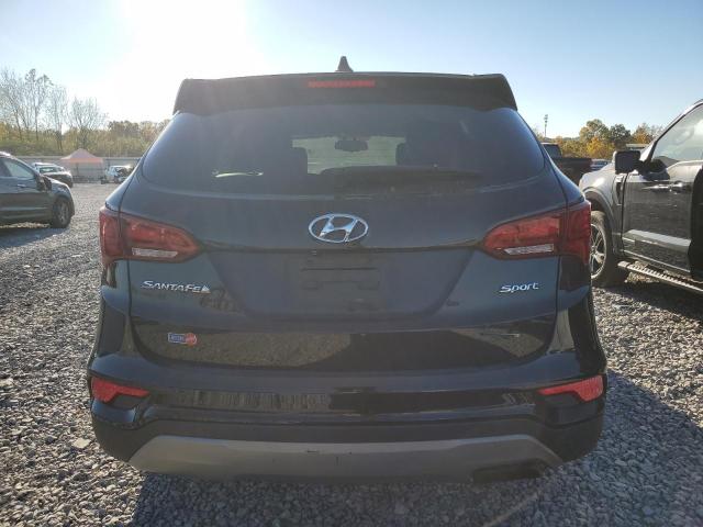 5NMZU3LBXHH029589 - 2017 HYUNDAI SANTA FE S შავი ფოტო 6