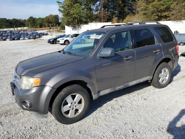 2010 FORD ESCAPE XLT, 