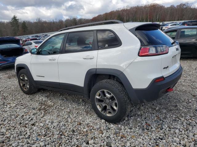 1C4PJMBX9KD314030 - 2019 JEEP CHEROKEE TRAILHAWK WHITE photo 2
